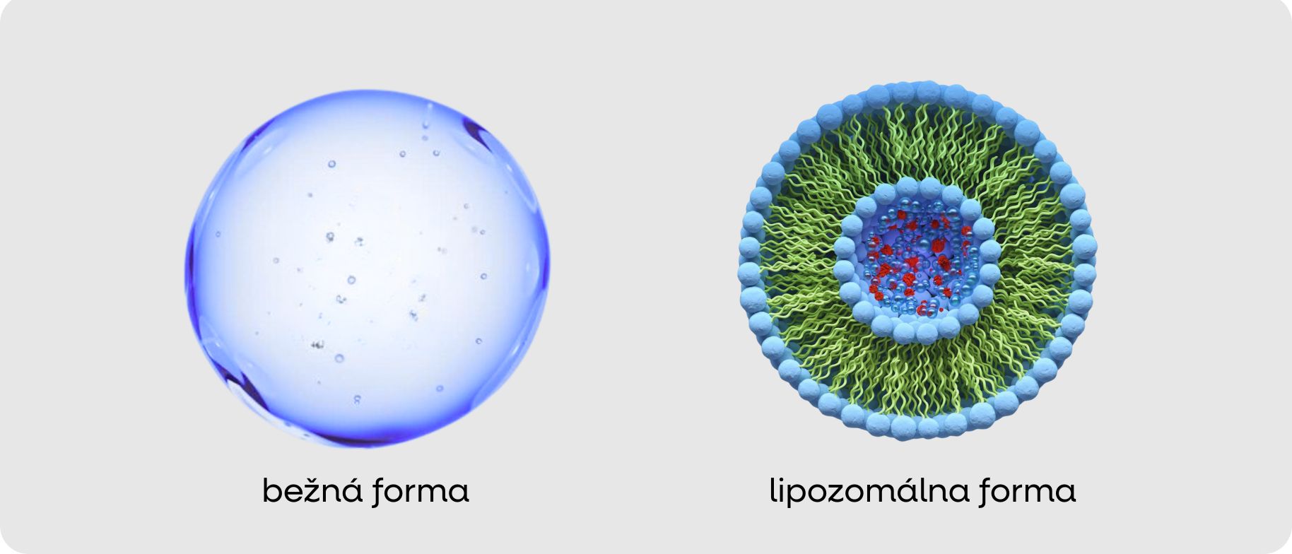 (Slovenčina) (10)_1